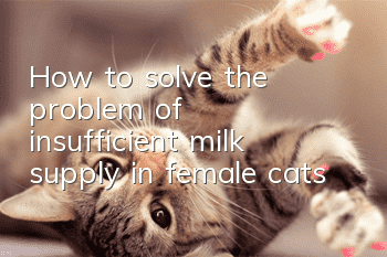 How to solve the problem of insufficient milk supply in female cats