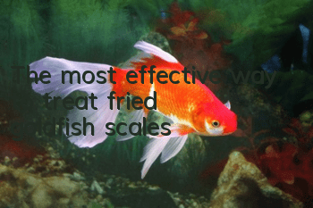 The most effective way to treat fried goldfish scales
