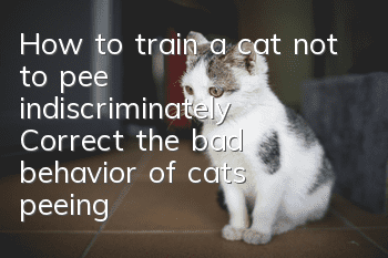 How to train a cat not to pee indiscriminately? Correct the bad behavior of cats peeing!