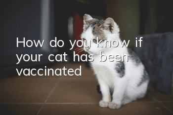 How do you know if your cat has been vaccinated?