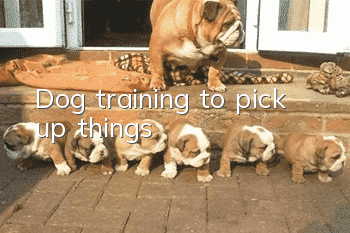 Dog training to pick up things