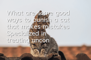 What are some good ways to punish a cat that makes mistakes? Specialized in treating unconvinced kittens!