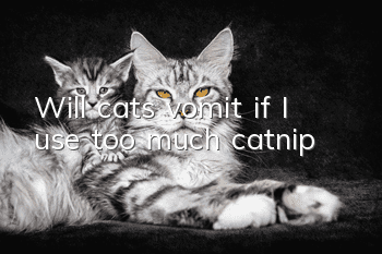 Will cats vomit if I use too much catnip?