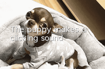 The puppy makes a clicking sound