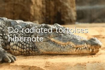 Do radiated tortoises hibernate?