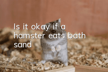 Is it okay if a hamster eats bath sand?