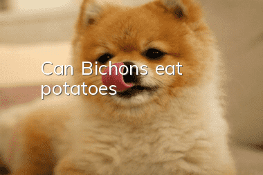 Can Bichons eat potatoes?