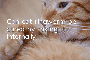 Can cat ringworm be cured by taking it internally?