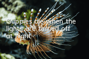 Guppies die when the lights are turned off at night