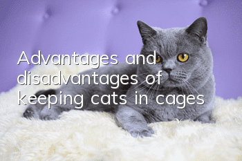 Advantages and disadvantages of keeping cats in cages