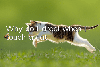 Why do I drool when I touch a cat?