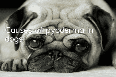 Causes of pyoderma in dogs