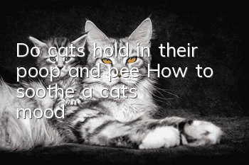 Do cats hold in their poop and pee? How to soothe a cat's mood?