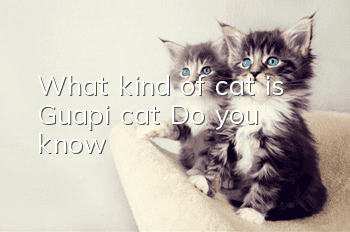 What kind of cat is Guapi cat? Do you know?