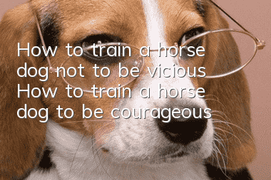 How to train a horse dog not to be vicious? How to train a horse dog to be courageous!