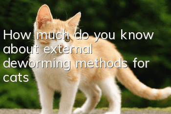 How much do you know about external deworming methods for cats?