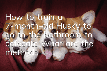 How to train a 7-month-old Husky to go to the bathroom to defecate? What are the methods?