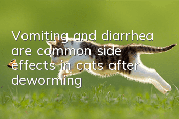 Vomiting and diarrhea are common side effects in cats after deworming!
