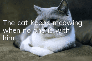 The cat keeps meowing when no one is with him