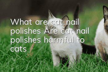 What are cat nail polishes? Are cat nail polishes harmful to cats?