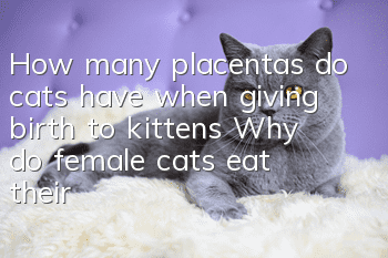 How many placentas do cats have when giving birth to kittens? Why do female cats eat their placentas?
