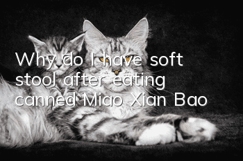 Why do I have soft stool after eating canned Miao Xian Bao?