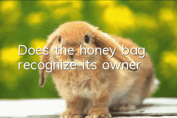 Does the honey bag recognize its owner?