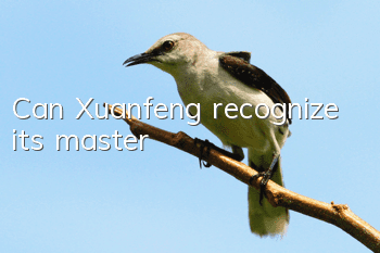 Can Xuanfeng recognize its master?