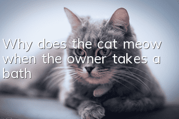 Why does the cat meow when the owner takes a bath?