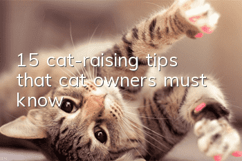 15 cat-raising tips that cat owners must know