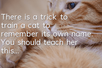 There is a trick to train a cat to remember its own name. You should teach her this...