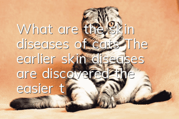 What are the skin diseases of cats? The earlier skin diseases are discovered, the easier they are to control.