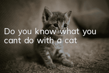 Do you know what you can’t do with a cat?