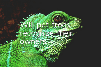 Will pet frogs recognize their owners?