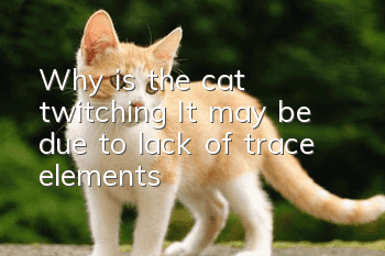 Why is the cat twitching? It may be due to lack of trace elements
