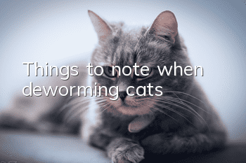 Things to note when deworming cats