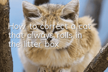 How to correct a cat that always rolls in the litter box?