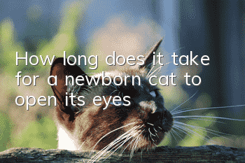 How long does it take for a newborn cat to open its eyes?