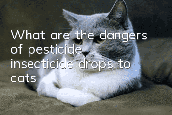 What are the dangers of pesticide insecticide drops to cats?