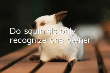 Do squirrels only recognize one owner?