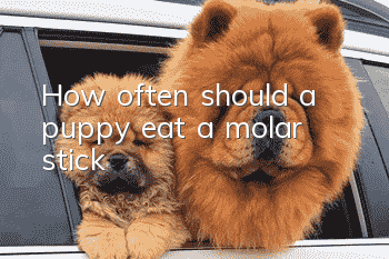 How often should a puppy eat a molar stick?