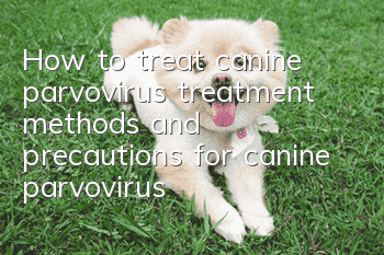 How to treat canine parvovirus, treatment methods and precautions for canine parvovirus!