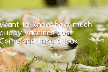 Want to know how much puppy vaccines cost? Come and take a look!