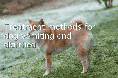 Treatment methods for dog vomiting and diarrhea