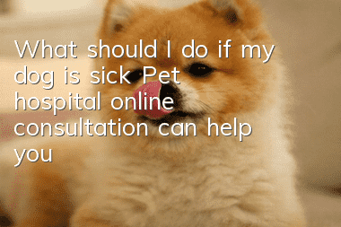 What should I do if my dog ​​is sick? Pet hospital online consultation can help you!