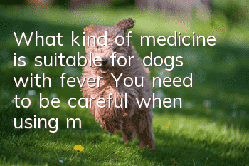 What kind of medicine is suitable for dogs with fever? You need to be careful when using medicine for pet dogs!