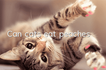 Can cats eat peaches?