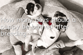 How many days should a puppy be bathed after breeding?
