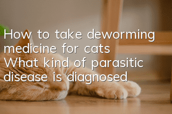 How to take deworming medicine for cats? What kind of parasitic disease is diagnosed?
