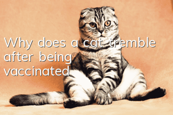 Why does a cat tremble after being vaccinated?